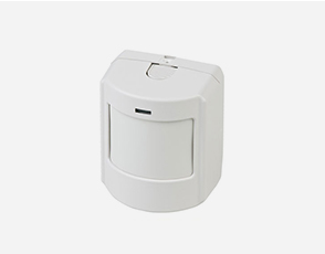 Protectamerica motion detector small